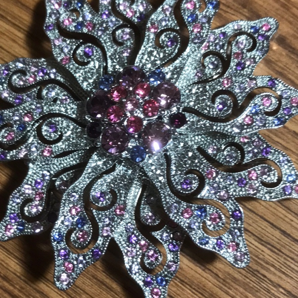 Gorgeous Brooch in Dillards box. Silver toned and pink stones. Large and unique
